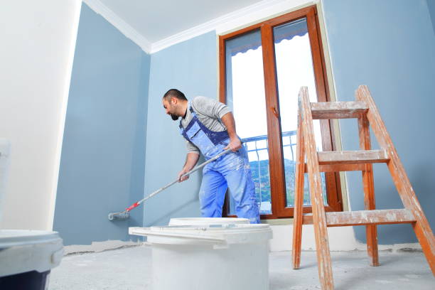Reliable Harvey, LA Mold Removal Solutions